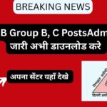 DSSSB Group B, C Posts